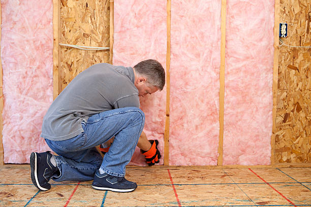 Professional Insulation Contractor in Blennerhassett, WV