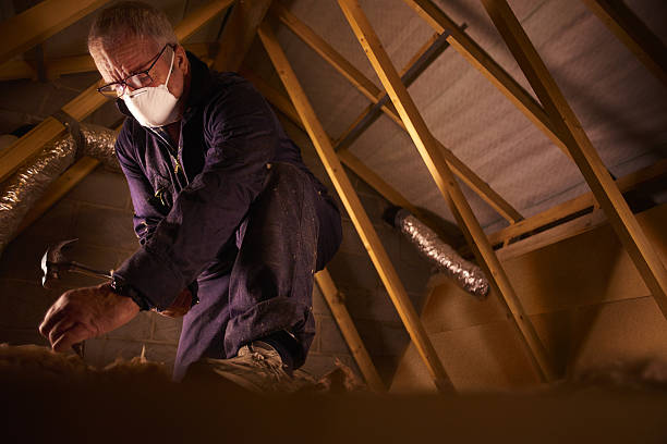 Types of Insulation We Offer in Blennerhassett, WV